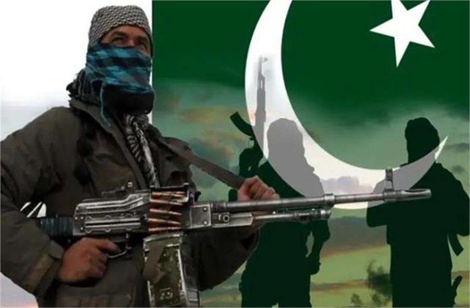 پاکستان میں چار سرکاری افسران کا اغوا، سکیورٹی فورسز نے ٹی ٹی پی کا خونخوار دہشت گرد کیا ہلاک