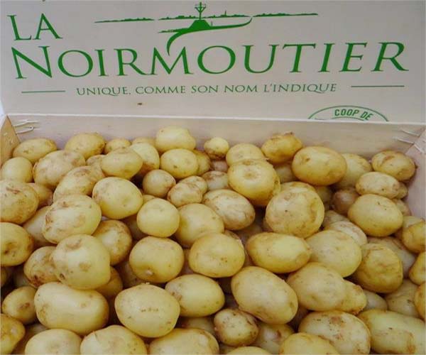 آلو کی قیمت 1,00,000 روپے فی کلو! جانیں کون سے ملک میں ملتا ہے اتنا مہنگا آلو