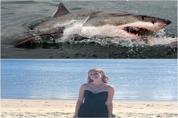 شارک کا دو افراد پر نایاب حملہ! خاتون موقع پر ہلاک، راہگیر کی بہادری سے بچی نوجوان کی جان۔