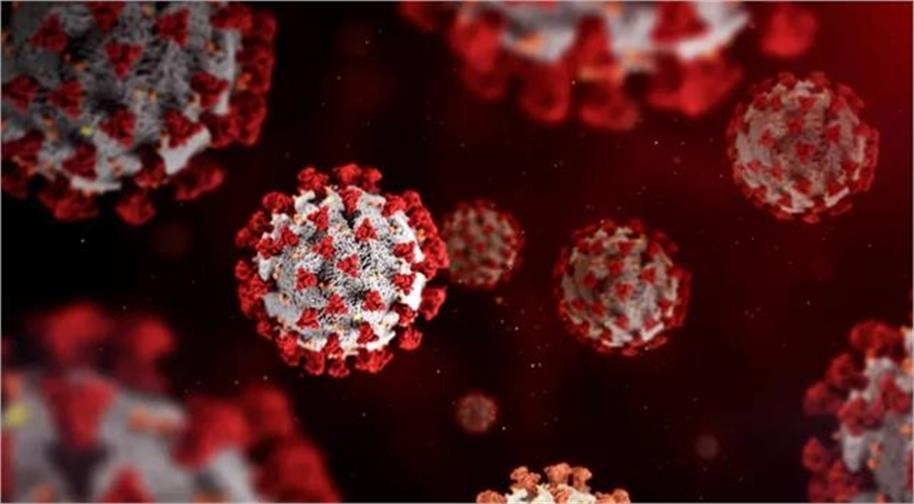 پھر لوٹ آیا وبائی مرض: نئے سال سے پہلے خطرے کی دستک ، اس بیماری نے بڑھائی لوگوں کی تشویش