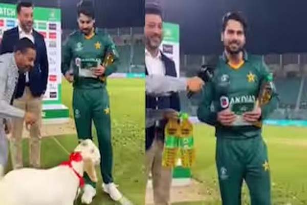 پاکستانی کھلاڑی کو ‘مین آف دی میچ’ میں ملا بکرا اور تیل کی دو بوتلیں، جانیے وائرل ویڈیو کا سچ