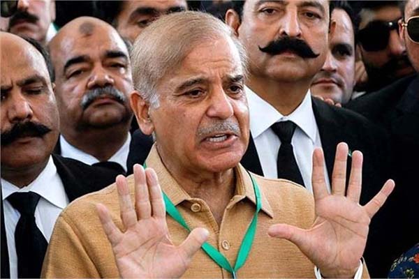 پاکستان کے وزیر اعظم شہباز شریف کتنے پڑھے لکھے ہیں؟ جانئے کہاں سے کی ہے پڑھائی