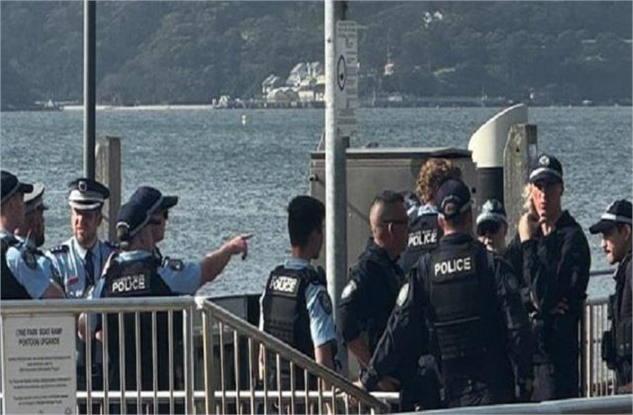 سڈنی ہاربر میں 12 سالہ بچے پر شارک کا حملہ ، حالت نازک