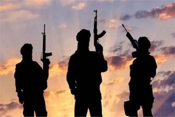 پاکستانی سکیورٹی فورسز نے 12 دہشت گرد کیے ہلاک