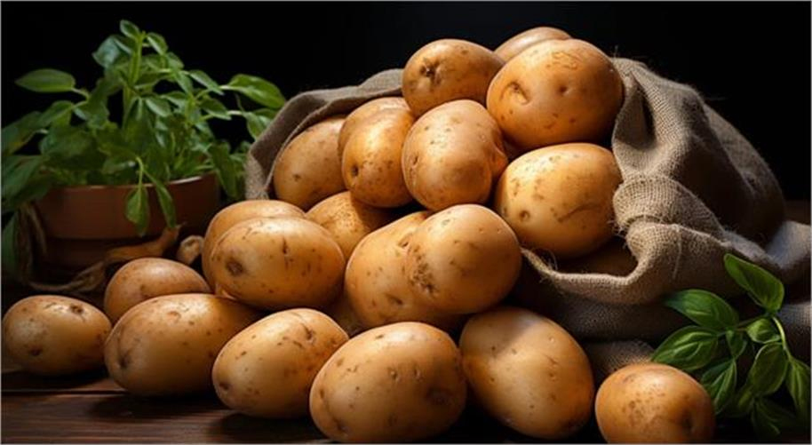 اس ملک میں کبھی آلو کی پیداوار پر تھی پابندی، نفرت اور خوف کی نظر سے دیکھتے تھے لوگ، وجہ کر دے گی حیران