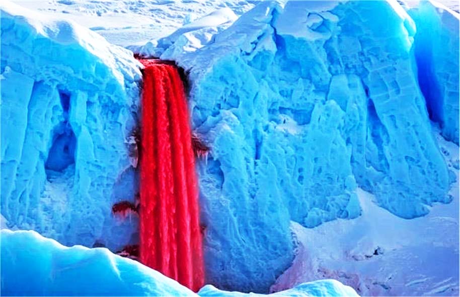انٹارکٹیکا میں بہ رہا ہے خون کا جھرنا ، سائنسدان بھی حیران؛ جانیں اس پراسرار سرخ آبشار کے بارے میں